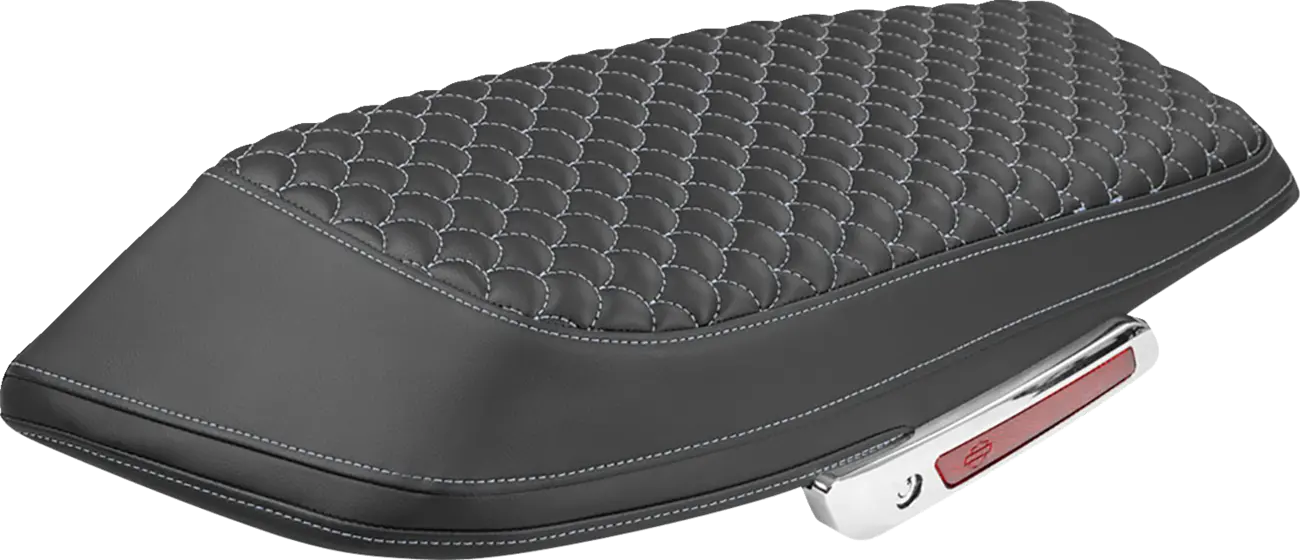 Dragon Scale Saddlebag Lid Covers