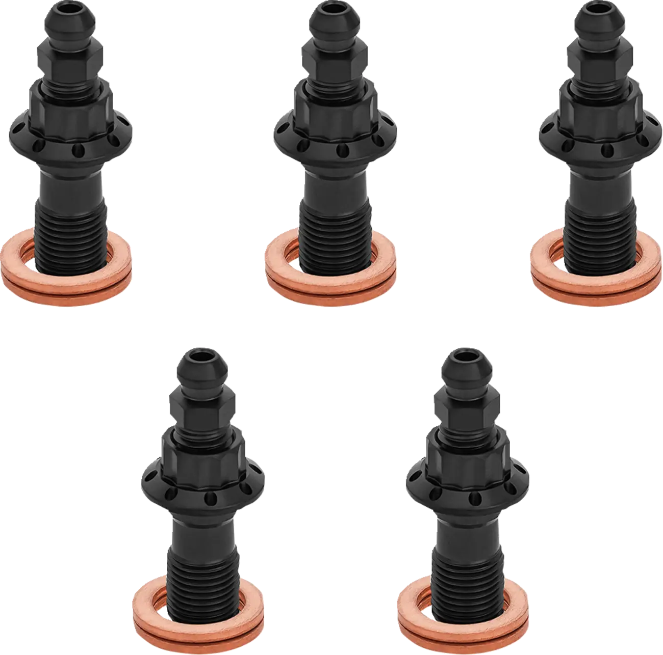 BOLT BANJO BLEEDER 5-PK 12-PT 10mm FR CALIPER BLACK TOURING