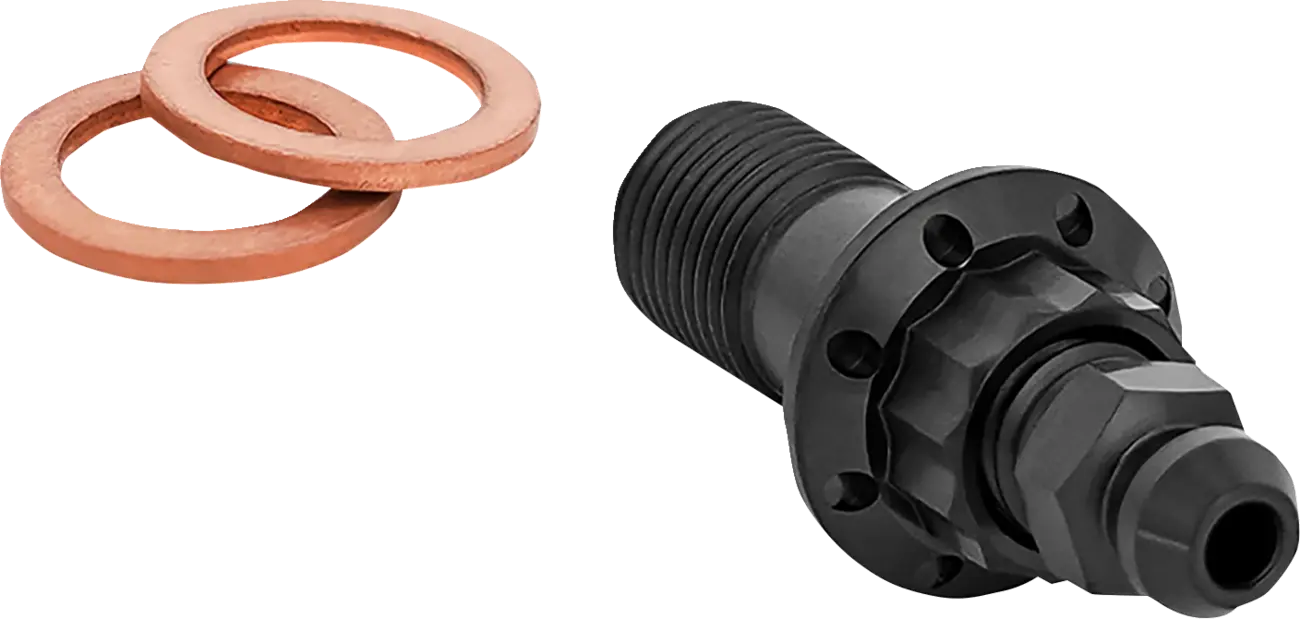 Titanium 12-Point Banjo Bolt