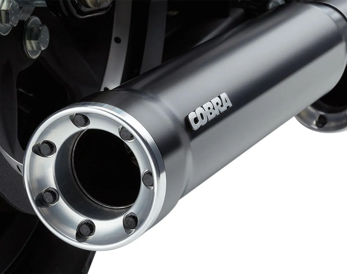Slip-On Mufflers with Race-Pro Tips