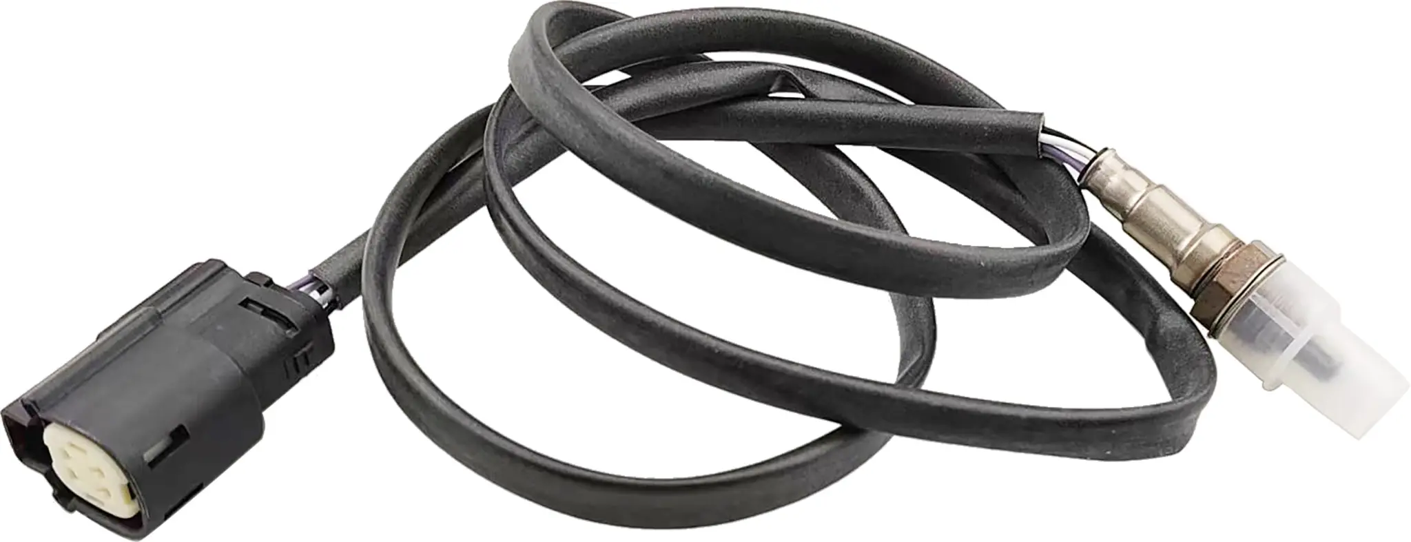 O2 Sensor
