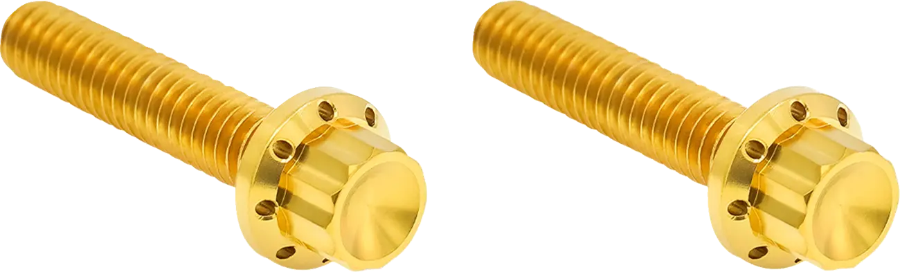 Transmission Side Cover Titanium 12-Point Bolt Cover