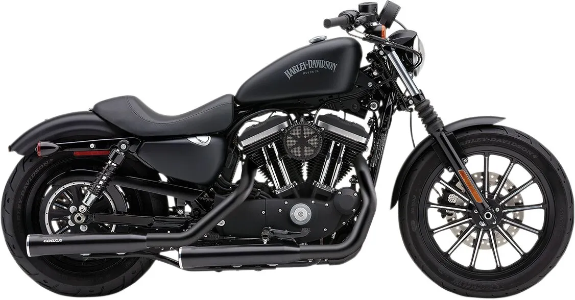 Slip-On Mufflers with Race-Pro Tips