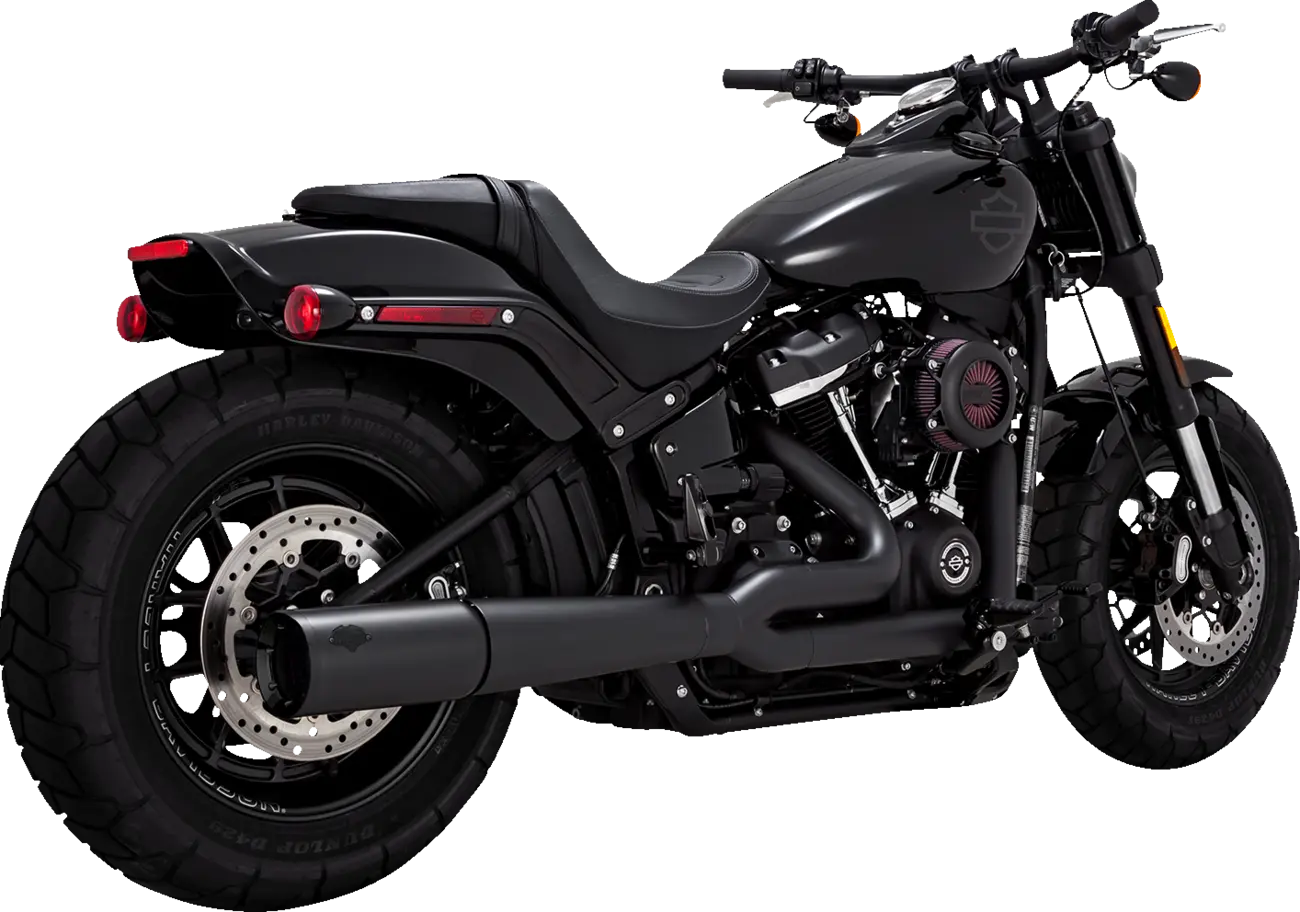 Pro Pipe 2-into-1 Exhaust System