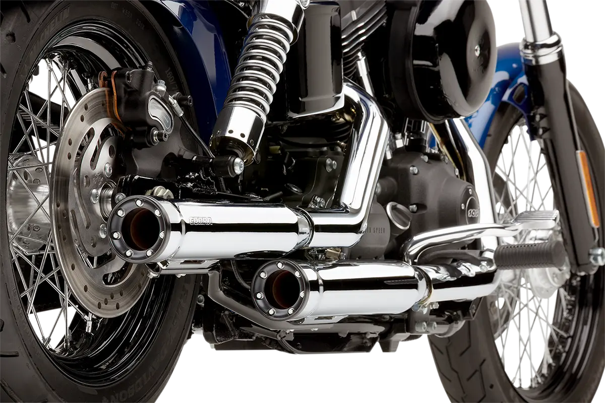 Slip-On Mufflers with Race-Pro Tips