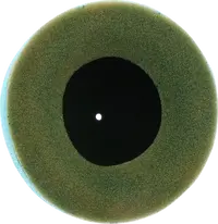 Image: Product/Part name 